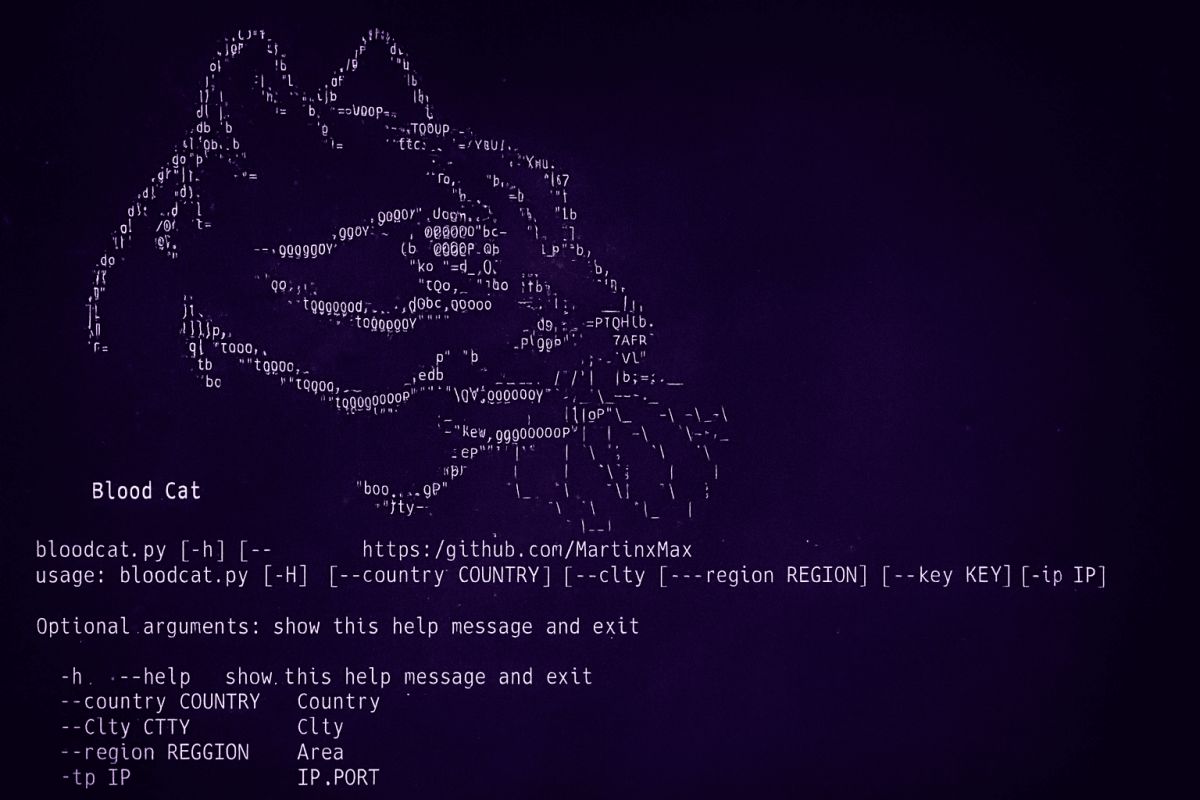 🔥 BloodCat: la polémica herramienta que está sacudiendo Internet al rastrear cámaras vulnerables en todo el mundo 🔥